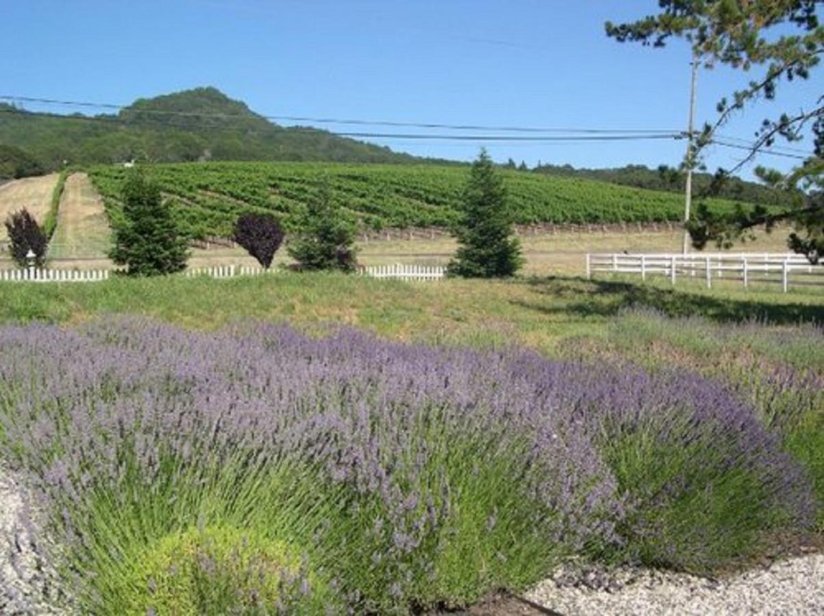 The Gables Wine Country Inn Santa Rosa Εξωτερικό φωτογραφία